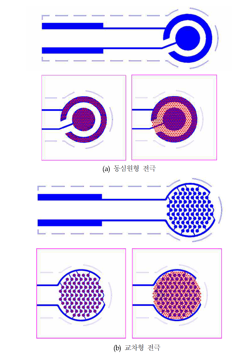 Micro-pillar가 형성된 전극에서의 땀 발현 전 후 전극-피부간 접촉면