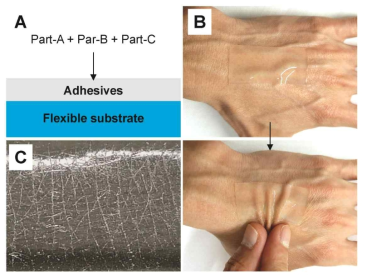 (a) 실리콘 기반 접착제로 코팅된 경피 패치 제조의 도식적 표현. (b) 손등에 적용된 경피 패치의 광학 이미지. (c) 분리 된 접착제의 피부 접촉 표면의 광학 이미지