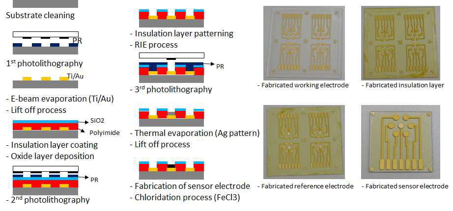 전기화학 바이오 센서 제작 공정도 및 제작된 electrode 기판 (모듈 크기: 6.25cm2)