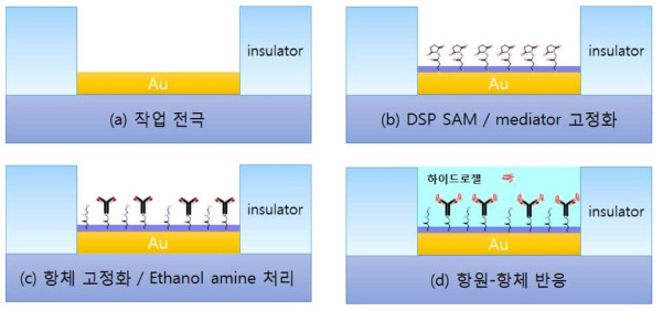 IL-6 측정을 위한 Au 작업 전극 표면 처리 순서