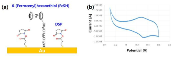 (a) FcSH와 DSP 혼합 SAM 처리 개념도, (b) pH 7.2 PBS 완충용액 중에서의 FcSH의 순환 전압 전류