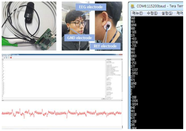 EEG 센서 모듈 및 실험 구성, 측정 결과