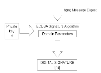 ECDSA 알고리즘