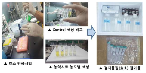 검지물질의 농약 반응 시험