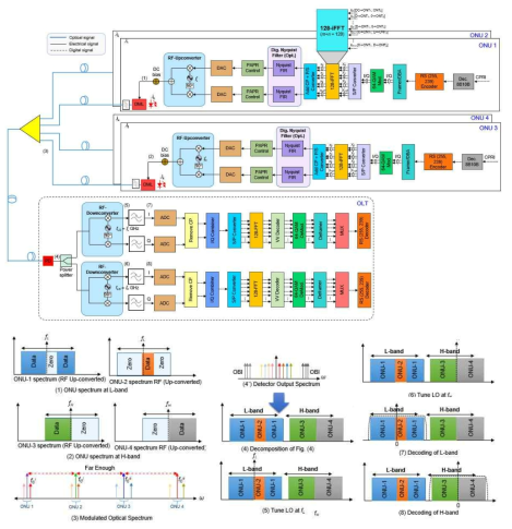 A schematic of the proposed OFDMA-PON C-RAN architecture for 40 Gb/s upstream transmission consisting of four ONUs. In the figure, the blue and black solid lines respectively show optical and electrical analog signals, while the dashed lines represent digital electrical signals