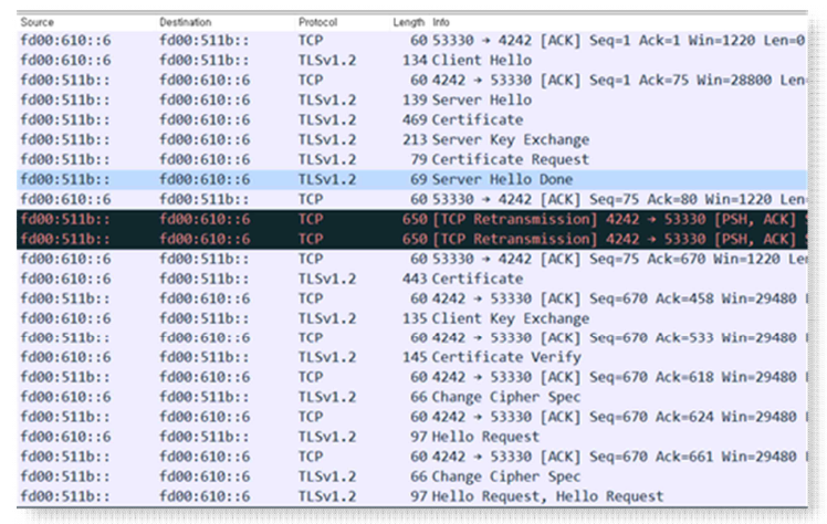 TLS 프로토콜 실행 내용의 패킷캡쳐 결과