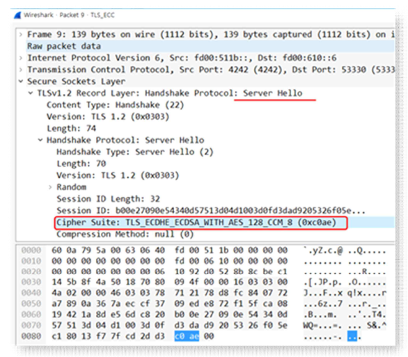 ServerHello 메시지 캡처 화면