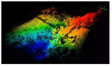 산림지역 무인기 LiDAR 데이터 처리 결과