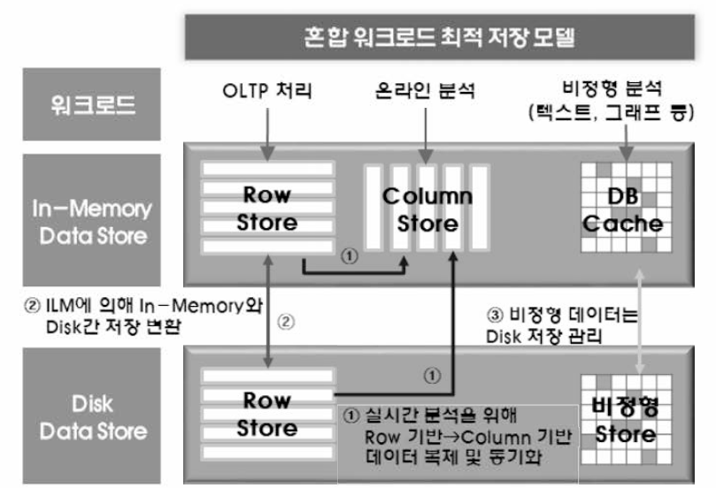 HTAP 지원을 위한 저장 모델 설계 방향