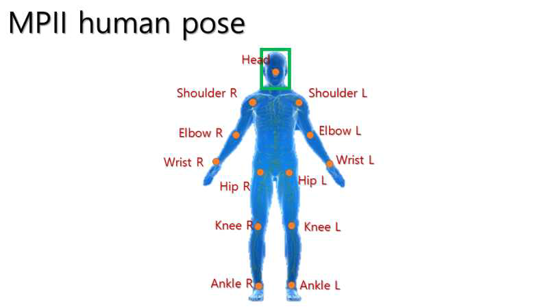 MPII human pose dataset에서 테스트에서 활용하는 13개 관절