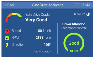 Safe Drive Assistant [Grade]