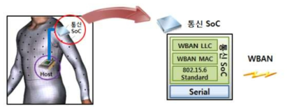 무선 네트워크 프로토콜