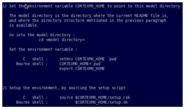 DSM environment setup flow