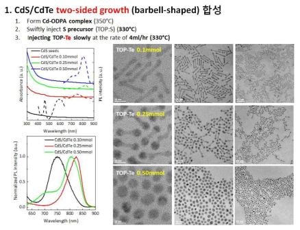 아령모양의 CdS/CdTe 나노입자 합성