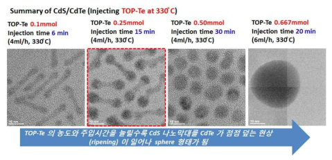 합성 과정에서 TOP-Te 의 농도 및 주입시간에 따른 (온도 고정) 나노입자 구조