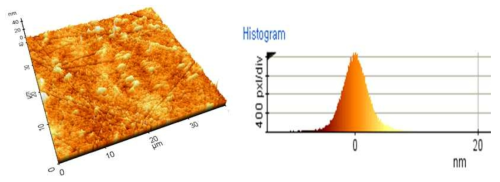 100㎛ Ti 금속기판 표면 모폴로지 AFM 분석 결과
