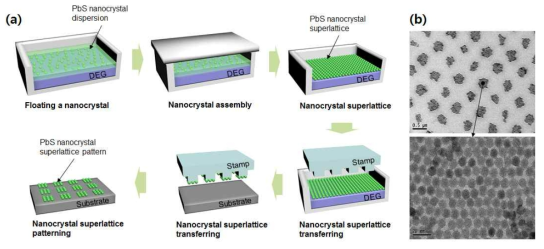 (a) Overall nanointergration process of PbS nanocrystal superlattice pattern (b) TEM image of nanotransferred PbS nanocrystal superlattice