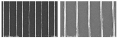 SEM images of nanotranferred PCDTBT based superstructure