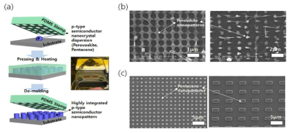 (a) 유연반도체 소재 3차원 나노구조 공정 모식도 및 (b) 페로보스카이트, (c) 펜타센 집적화 공정 결과