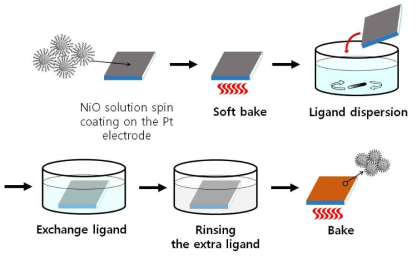 용액공정 기반 NiO 나노결정 필름 리간드 치환 공정 모식도