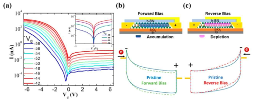 (a) 서로 다른 back gate 전압에서의 MoS2 SBD 의 output curve; (b) 정방향 bias 하에서 MoS2 SBD 에 전자들이 accumulation 되는 양상과 이를 설명하는 band diagram; (c) 역방향 bias 하에서 MoS2 SBD 에 전자들이 depletion 되는 양상과 이를 설명하는 band diagram