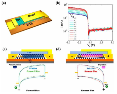 WSe2 기반의 SBD의 개략도와 출력 특성 및 순방향/역방향 바이어스에 따른 홀의 축적과 공핍을 나타내는 개략도와 밴드 다이어그램