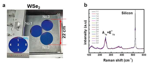 (a) 4인치 웨이퍼 3장을 동시에 장입한 Reactor의 사진과 각 웨이퍼 당 Raman spectra 측정 위치 (b)총 15개의 다른 위치에서 측정한 Raman spectra가 동일함을 보여주는 결과