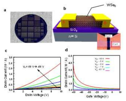 (a) Si 기판 위에 제조한 WSe2 FET의 사진;(b) 소자의 구조 (c) a) Photograph of WSe2 FET devices fabricated on Si wafer, b) schematic diagram of WSe2 FET on SiO2/Si substrate FET and its optical microscopic image showing the patterned WSe2 channel, c) WSe2 FET 소자의 VD-ID output curve, and d) VG-ID transfer curve