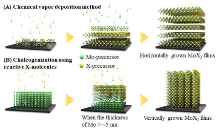 MoX2 박막의 성장 방법: (A) chemical vapor deposition, (B) S- 또는 Se-분자를 이용한 칼코겐화에 의한 성장