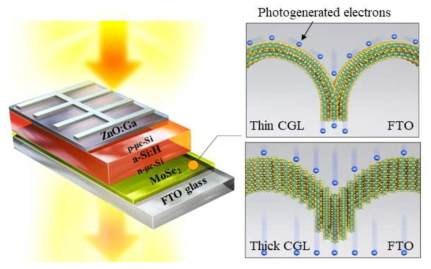 수평 또는 수직 배열을 가진 MoSe2 carrier guing layer (CGL)이 적용된 투명 비정질 실리콘 박막 태양전지 모식도