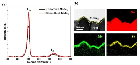 매우 거친 FTO 유리 기판 위에 성장된 5 nm와 20 nm MoSe2 박막의 (a) Raman spectrum; (b) 저배율 TEM 사진과 EDS map