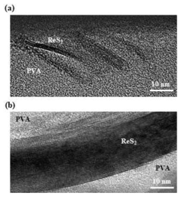 PVA-ReS2 박막의 TEM 이미지