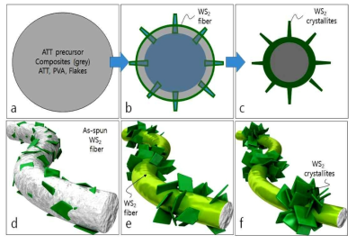 황 분위기에서 400℃- 600℃ 열처리하여 섬유 표면에 WS2 2D 반도체를 생성하고, 내부에는 WS2 flakes를 포함하는 혼합구조 생성 과정을 나타내는 개념도