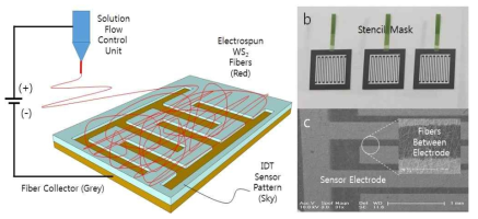 이차원반도체 섬유를 사용한 센서 제작 공정 개념도