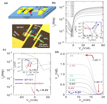 BP/2H+1T`-MoTe2 이종접합 로직 디바이스의 전기적 특성　(a) 모식도 (b) Drain Voltage에 따른 전송 특성비교 (c) BP FET 및 BP/2H+1T'-MoTe2 이종 접합 FET의 전송 특성 비교 (d) 각 디바이스의 Transfer Curve 비교