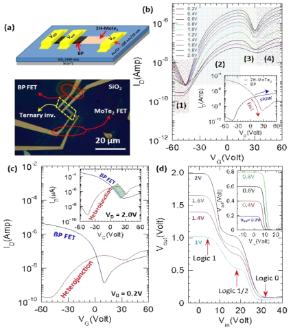 BP/2H-MoTe2 이종접합 로직 디바이스의 전기적 특성　(a) 모식도 (b) Drain Voltage에 따른 전송 특성비교 (c) BP FET 및 BP/2H+1T'-MoTe2 이종 접합 FET의 전송 특성 비교 (d) 각 디바이스의 Transfer Curve 비교