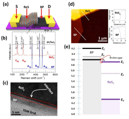BP/ReS2 이종 접합의 모식도와 Raman, TEM, AFM 이미지 및 밴드구조