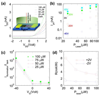 BP/ReS2의 이종 접합의 광 검출 특성 (a) Output curve (b) 레이저 파워에 따른 광 전류 (c) 다양한 레이저 파워에 따른 Illumiation 과 Dark current의 비율 (d) 레이저 파워에 따른 광 반응성
