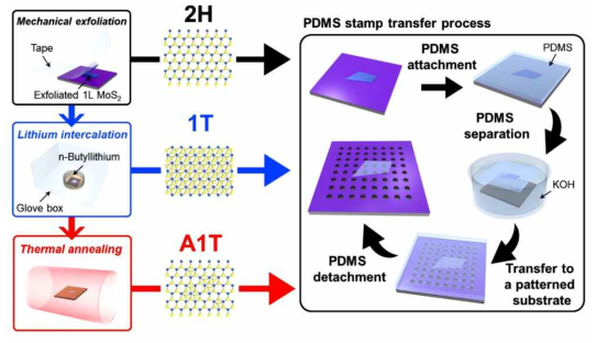 리튬 인터컬레이션을 이용한 MoS2 단일층 시트의 위상 변화 모식도