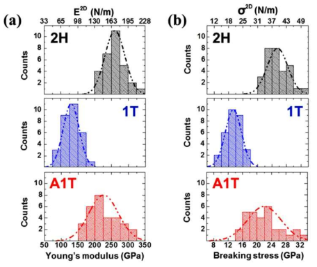MoS2의 위상에 따른 영률 및 파괴강도 측정결과