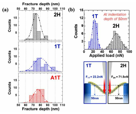 AFM 팁을 이용한 Fracture strain 분석결과