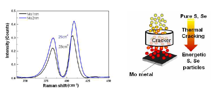 600 ℃에서 Mo 1, 2 nm 박막을 황화하여 형성한 MoS2 박막의 Raman spectra와 Cracker를 사용한 공정의 개념도