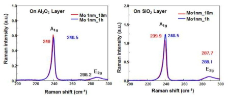 Al2O3 와 SiO2 위에 제조한 MoSe2 박막의 Raman spectra 비교. Y-축은 Si 기판 피크 강도에 대해 normalize 한 값임