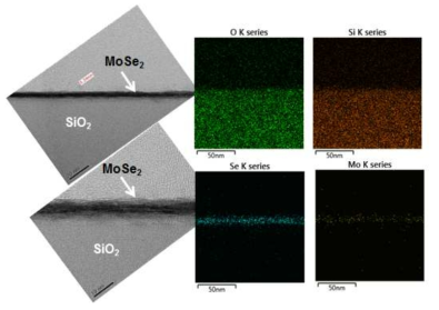 MoSe2 (초기 Mo 두께 2 nm) 박막의 단면 TEM 형상과 EDX 분석 결과