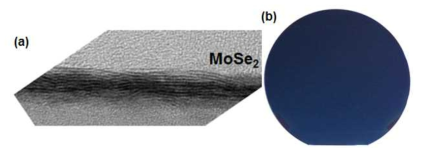 (a) MoSe2 8-layer 내외의 얇은 박막. layered 구조가 선명히 보임. (b) 6인치 웨이퍼에 매우 균일하게 MoSe2 박막이 형성되었음을 보여주는 사진