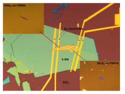 hBN으로 passivation한 기판 위에 제조한 WSe2-MoS2 junction FET 소자 구조