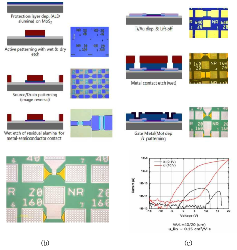 (a) CVD로 성장한 이차원 소재 MoS2 극초박막을 이용한 대면적 TFT 소자 공정; (b) 위의 공정을 이용하여 제작된 TFT 소자, (C) 제작된 TFT 소자특성