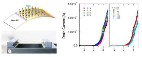 전사된 MoS2 박막의 유연테스트 방법 및 전기적 특성 변화