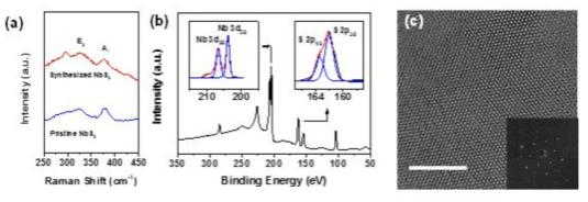 합성된 NbS2 박막의 라만, X-ray 분광분석 결과 및 TEM 이미지