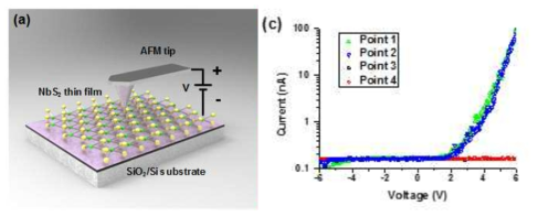 합성된 NbS2 박막의 AFM을 이용한 전기적 특성 분석